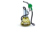 U.S. Biofuel Growth Faces Tariff Challenges